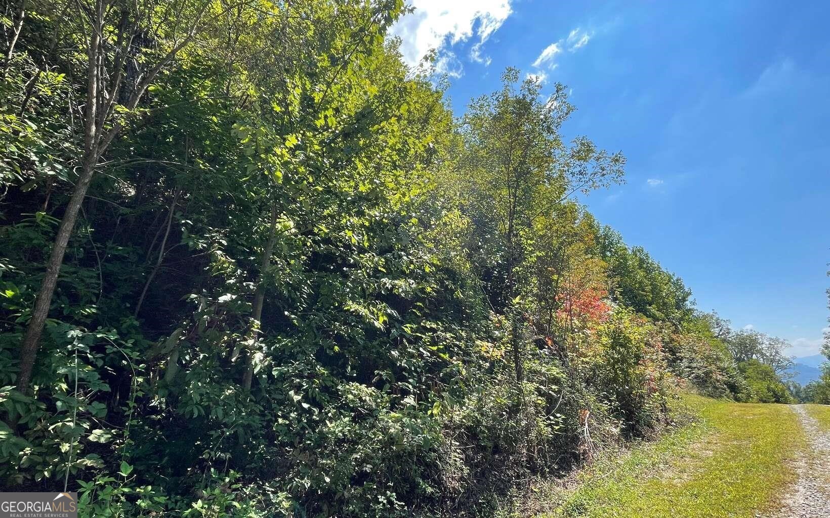 Lot 14 Mountain Harbour Property Photo 7