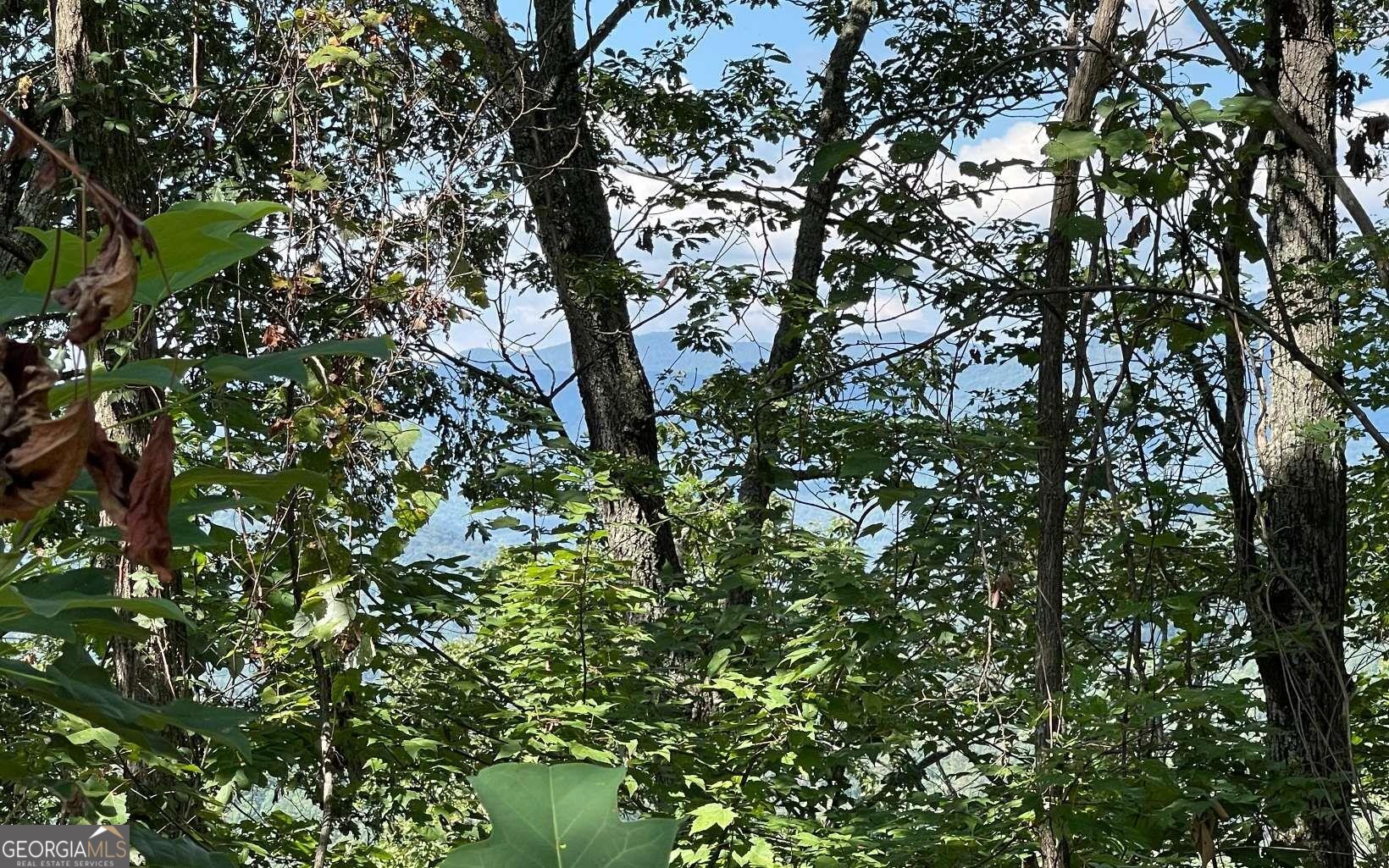 Lot 14 Mountain Harbour Property Photo 9