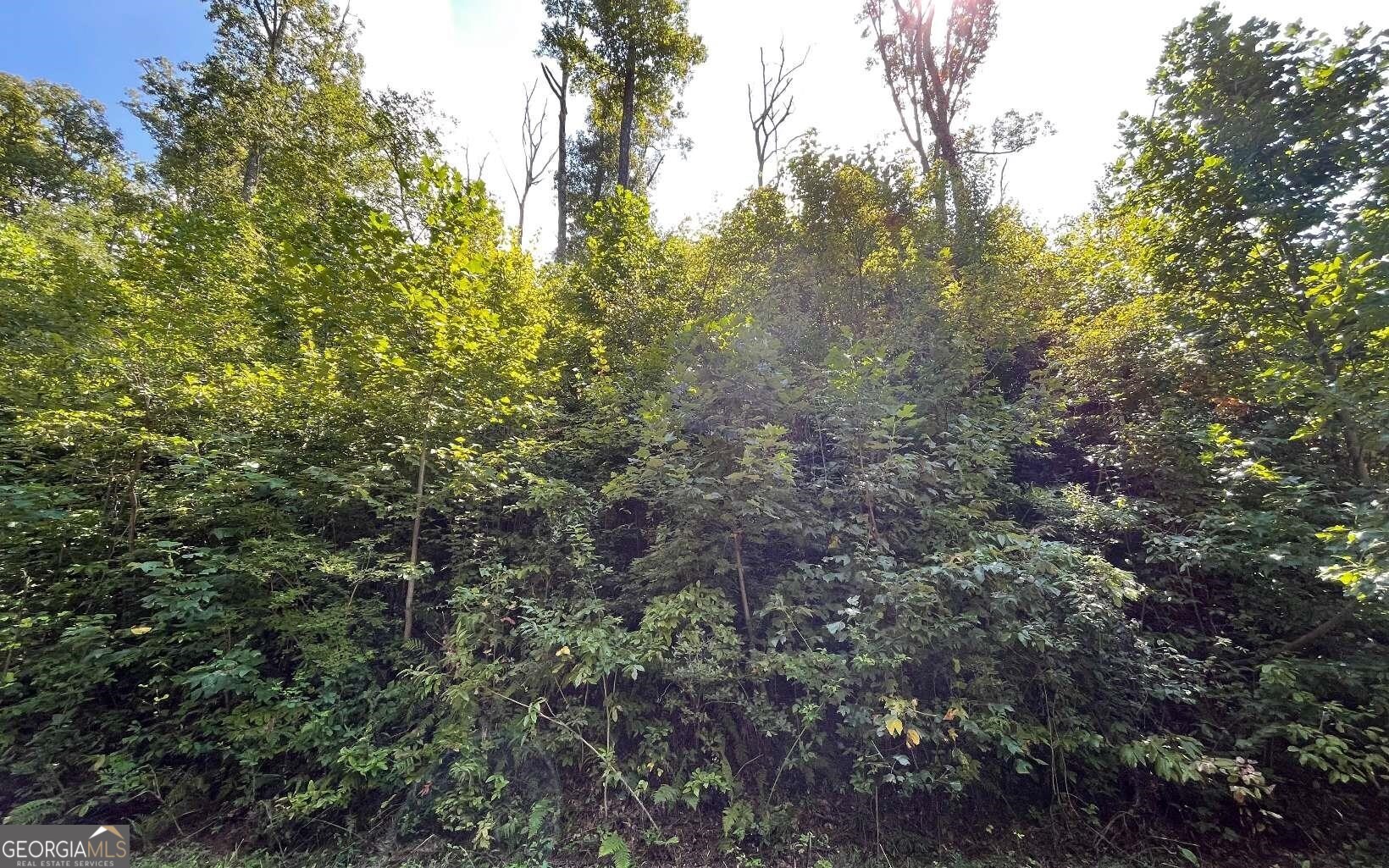 Lot 14 Mountain Harbour Property Photo 28