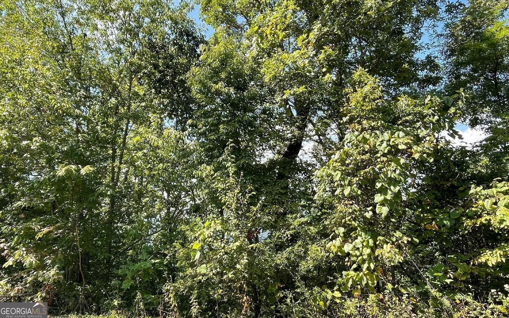 Lot 14 Mountain Harbour Property Photo 31