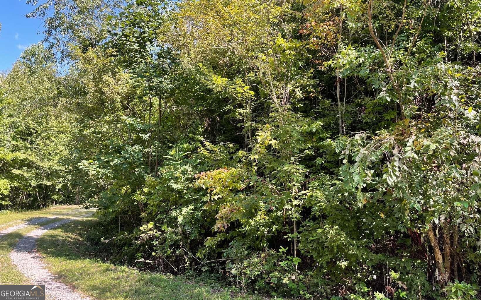 Lot 14 Mountain Harbour Property Photo 33