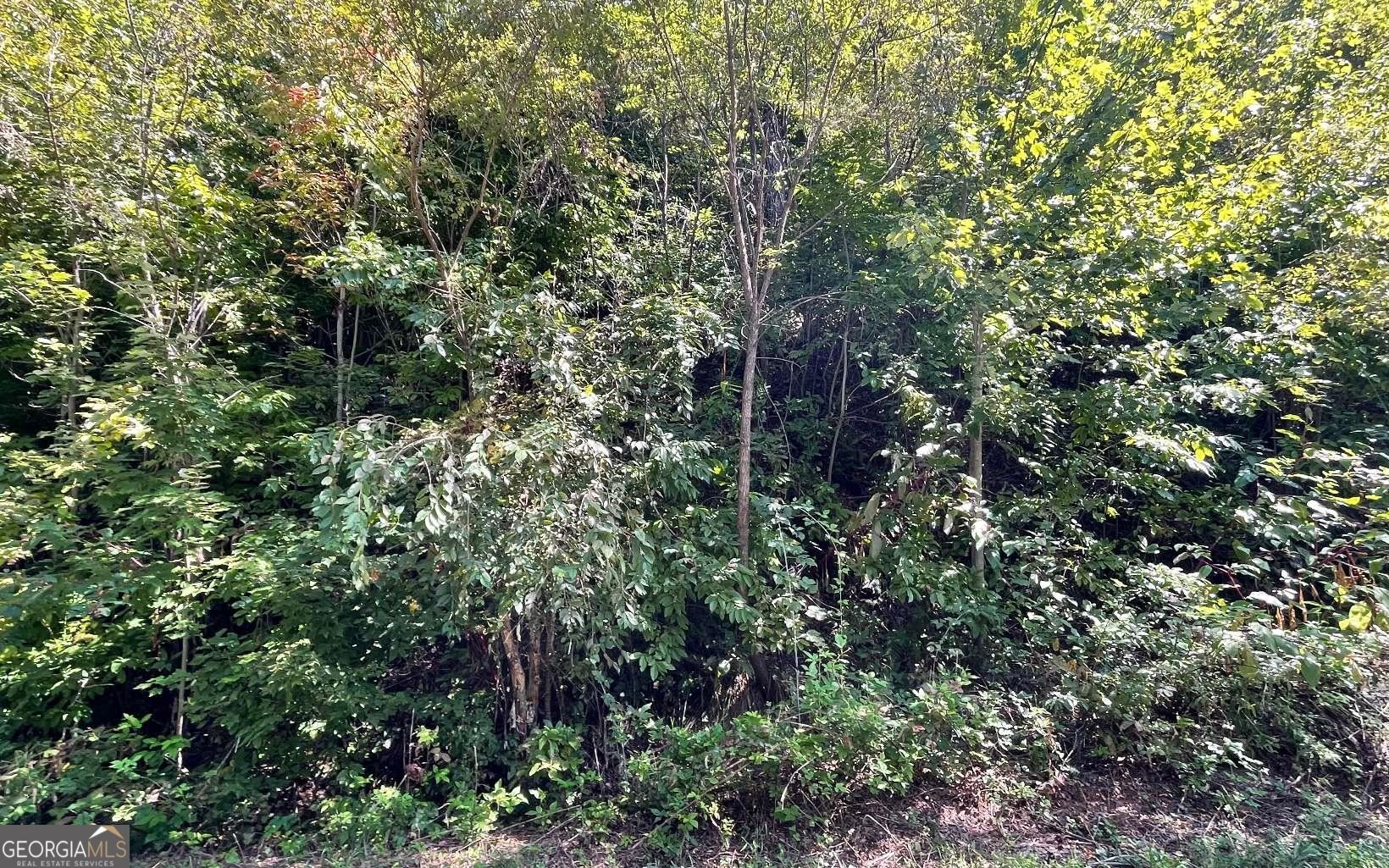 Lot 14 Mountain Harbour Property Photo 35