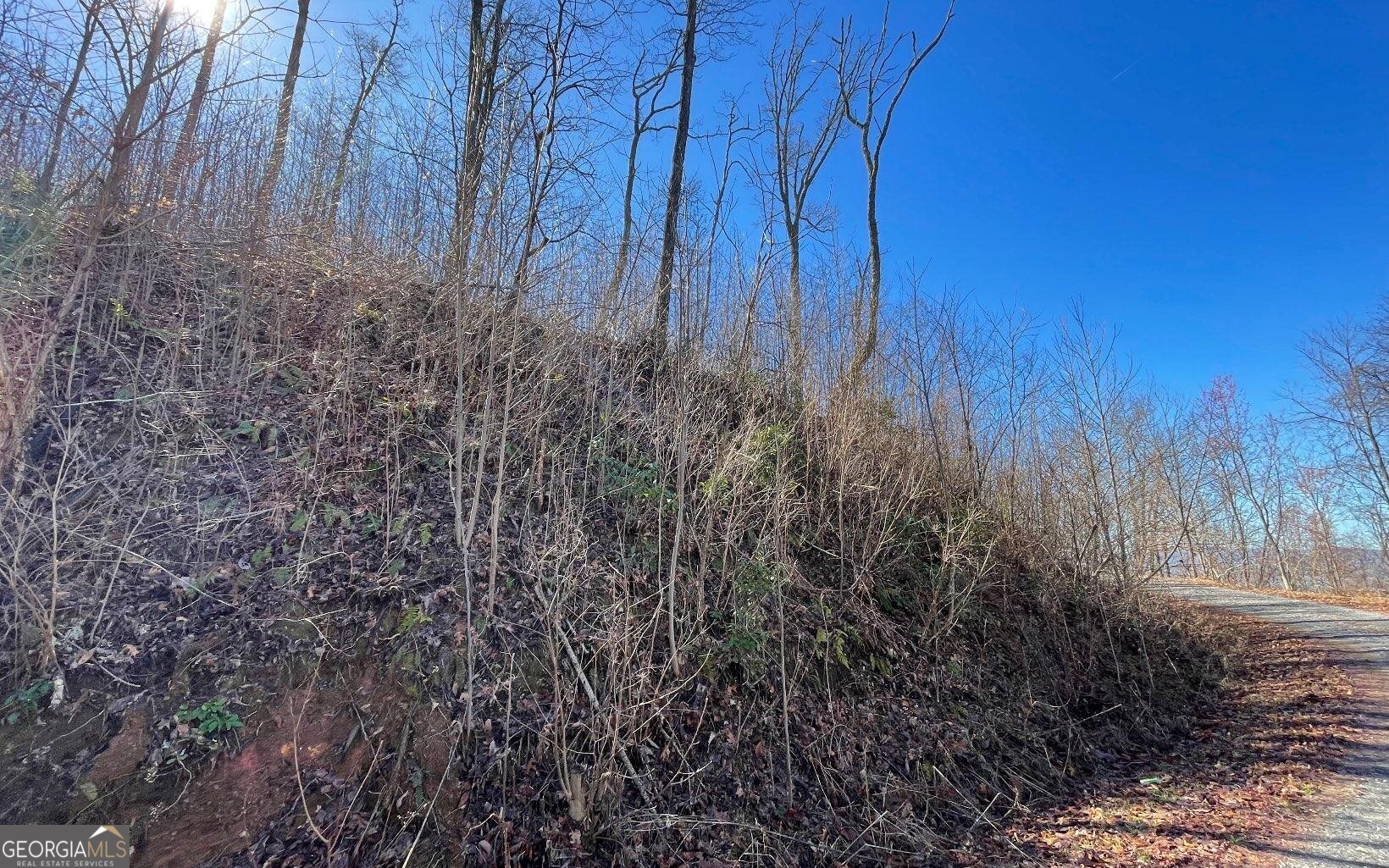 Lot 14 Mountain Harbour Property Photo 36