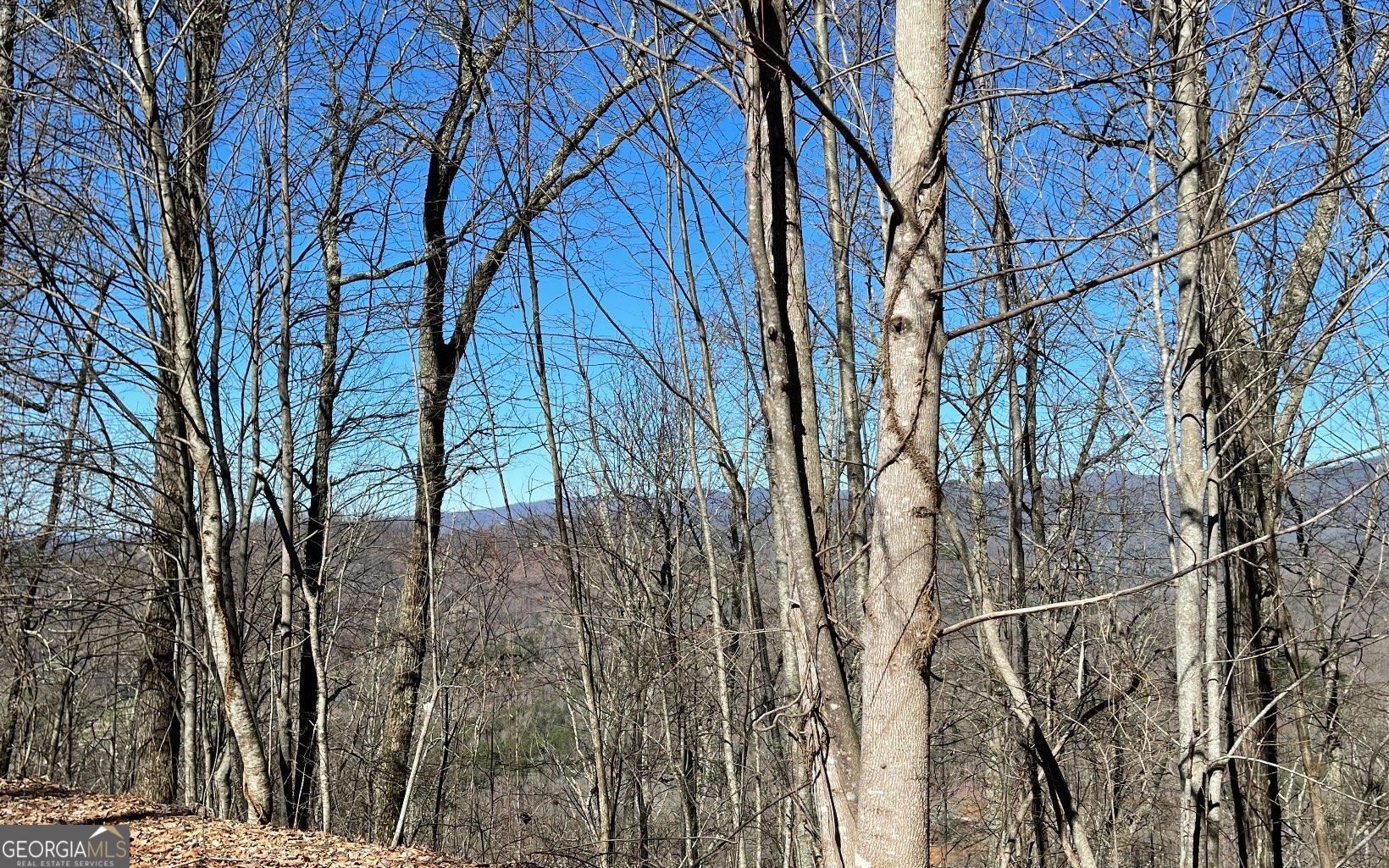 Lot 14 Mountain Harbour Property Photo 38