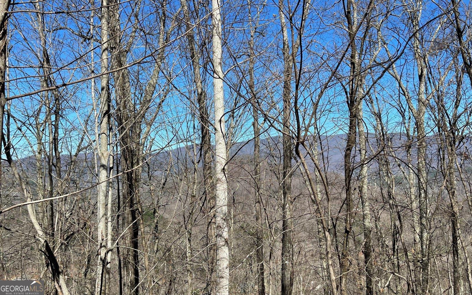 Lot 14 Mountain Harbour Property Photo 39