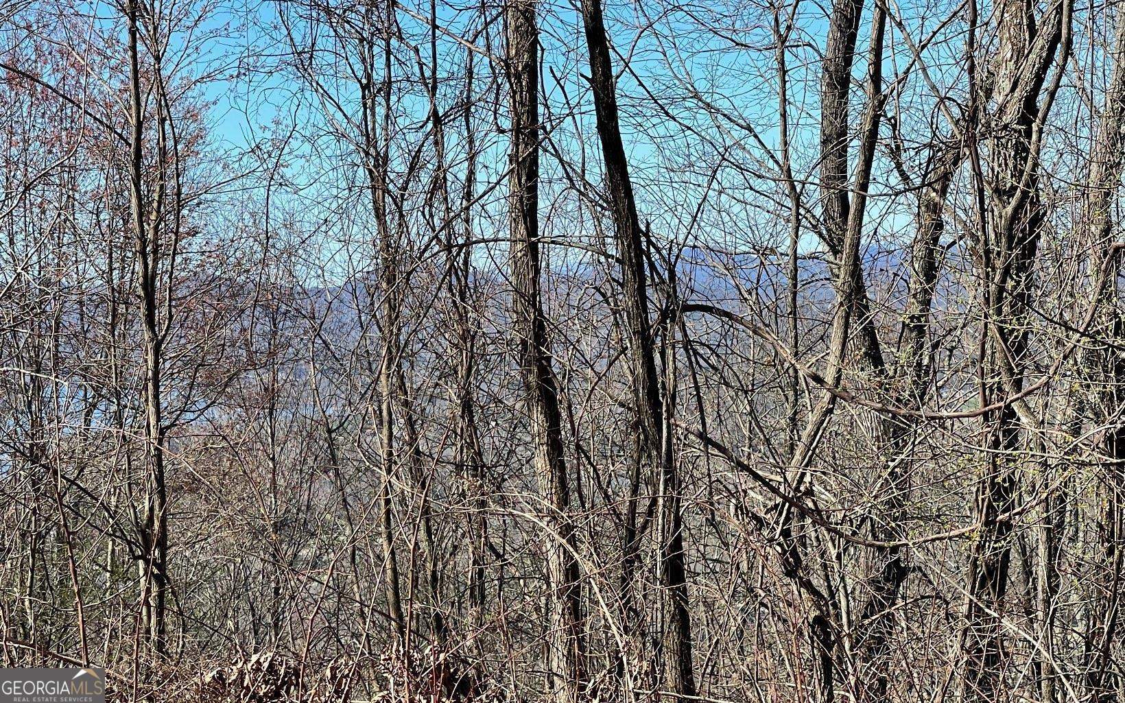 Lot 14 Mountain Harbour Property Photo 41