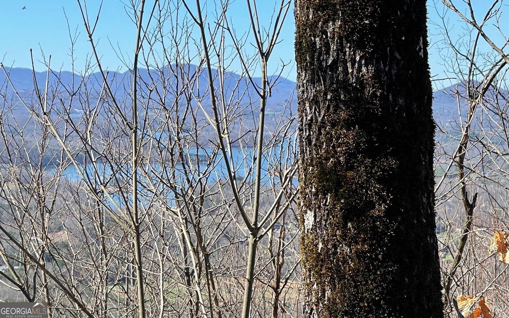 Lot 14 Mountain Harbour Property Photo 49