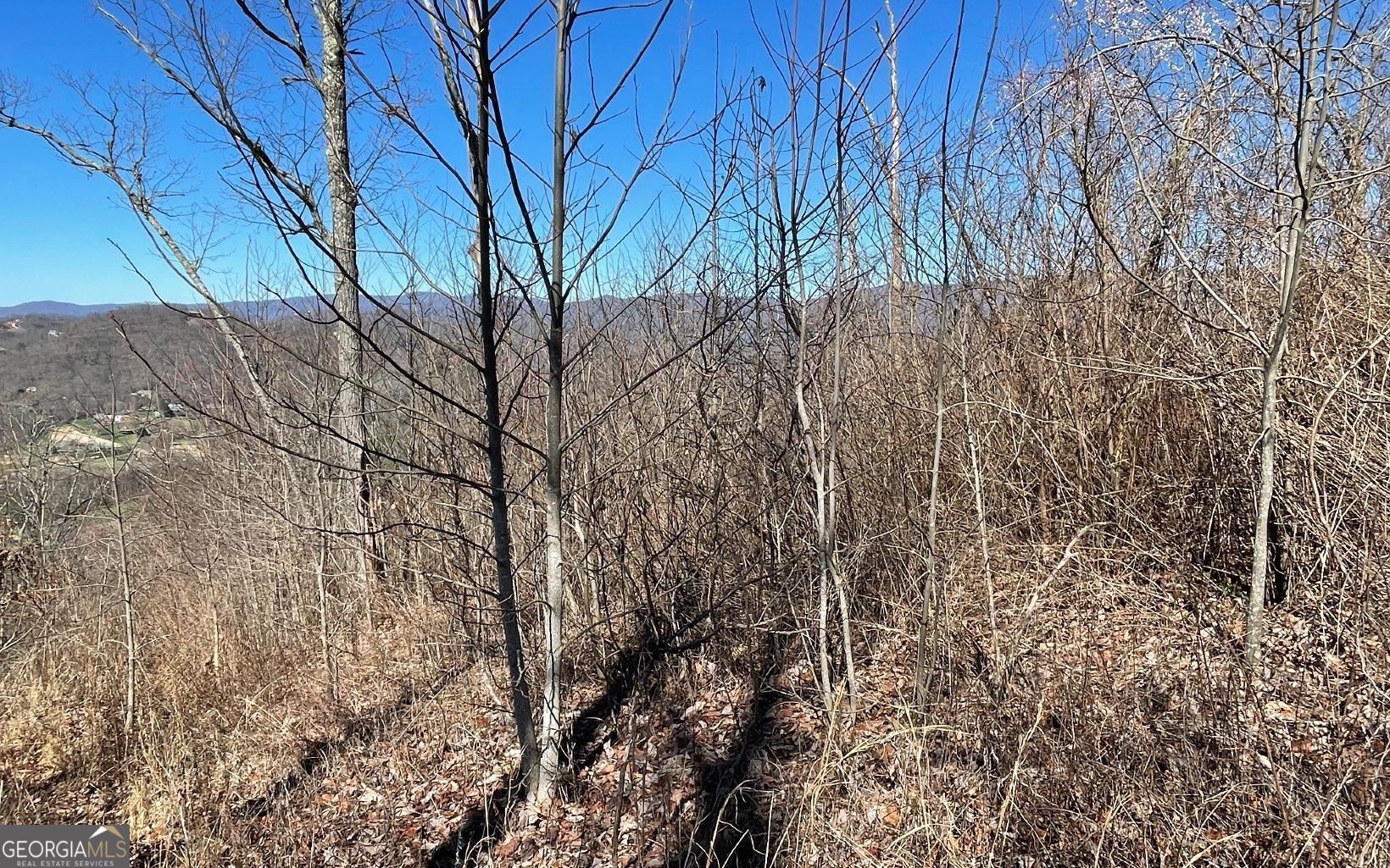 Lot 14 Mountain Harbour Property Photo 51