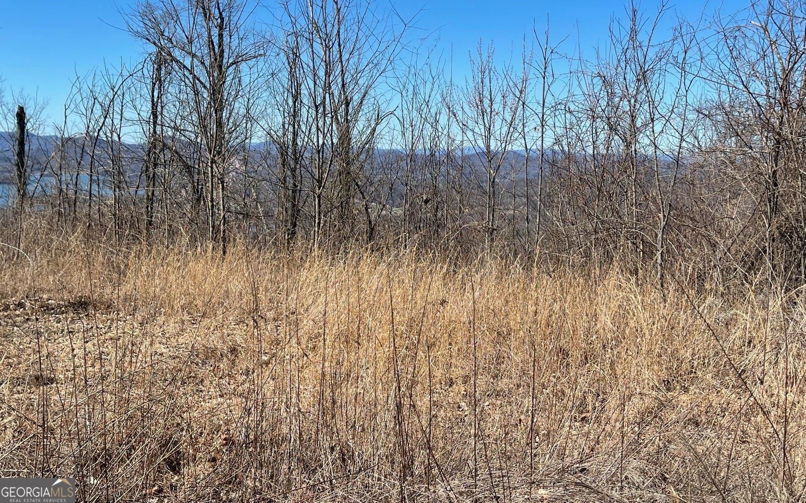 Lot 14 Mountain Harbour Property Photo 59