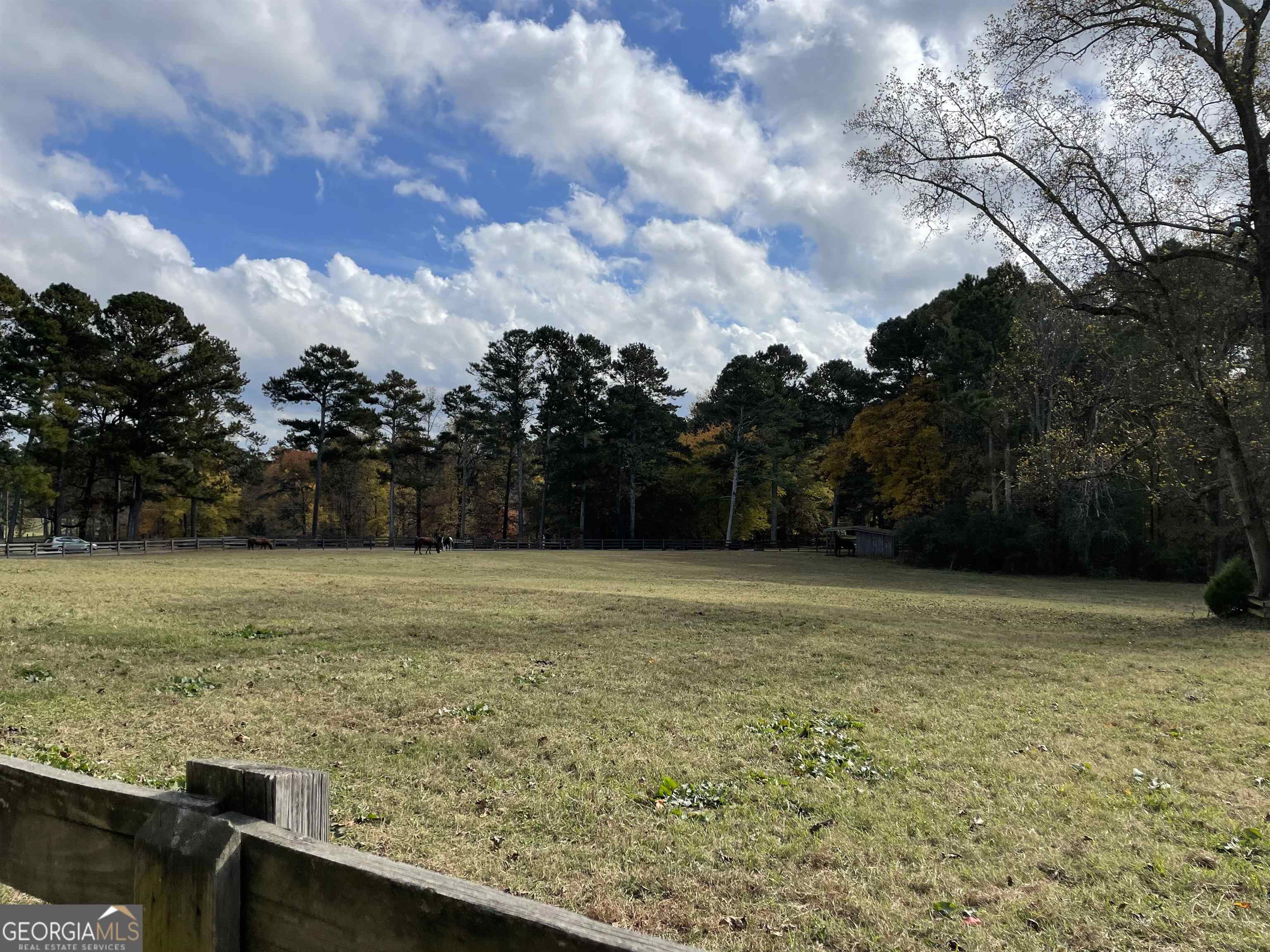 3185 Kellogg Creek Road Property Photo 10