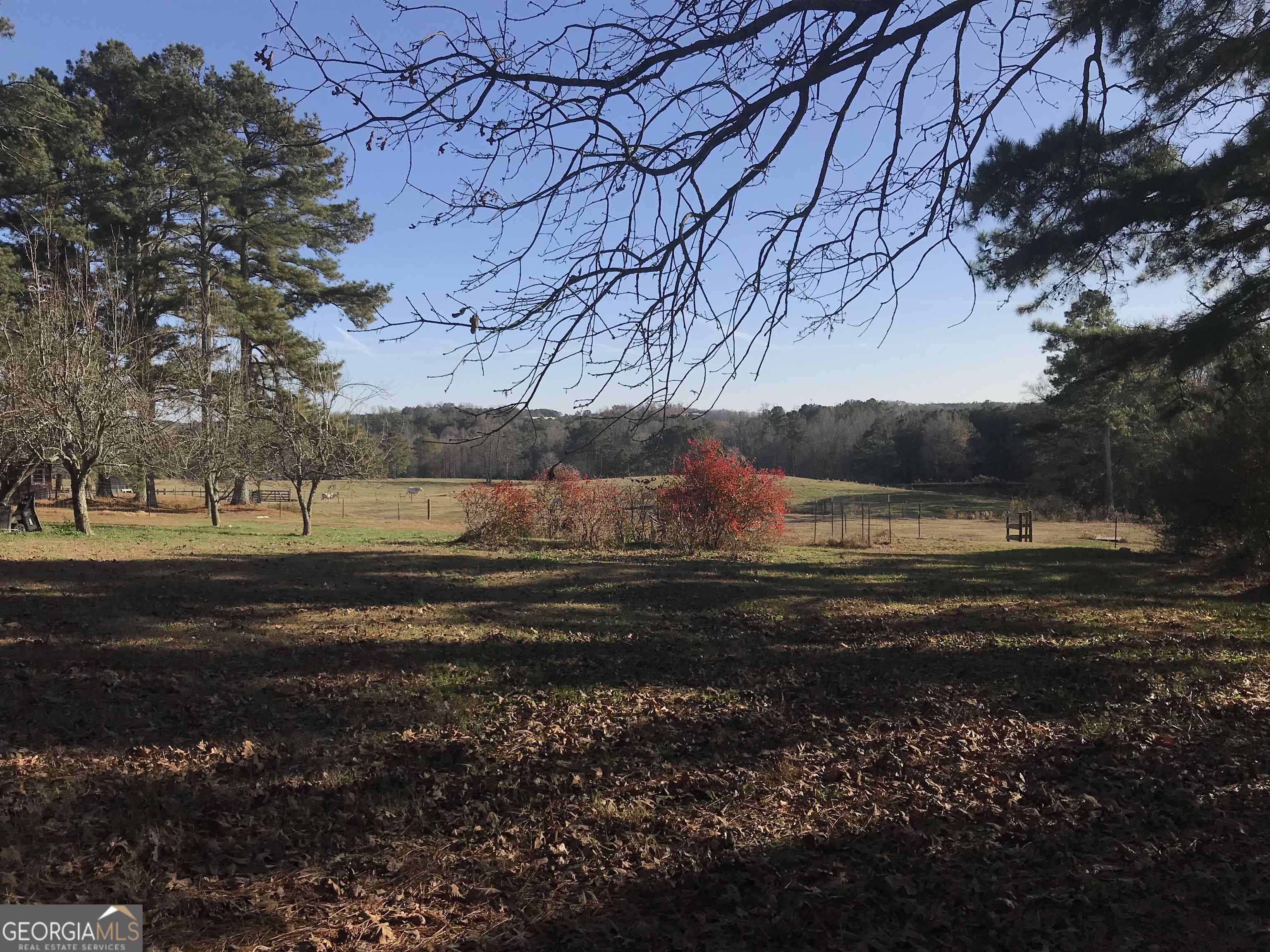 3185 Kellogg Creek Road Property Photo 12