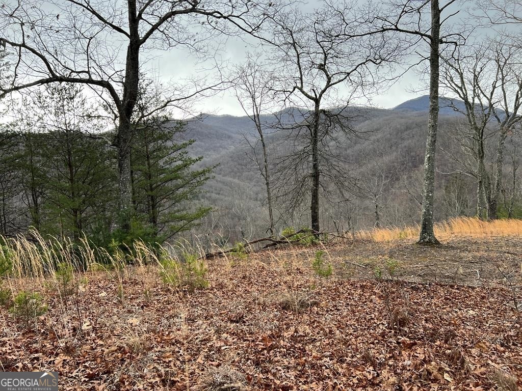 Lot 137 Shiloh Ridge Property Photo 1