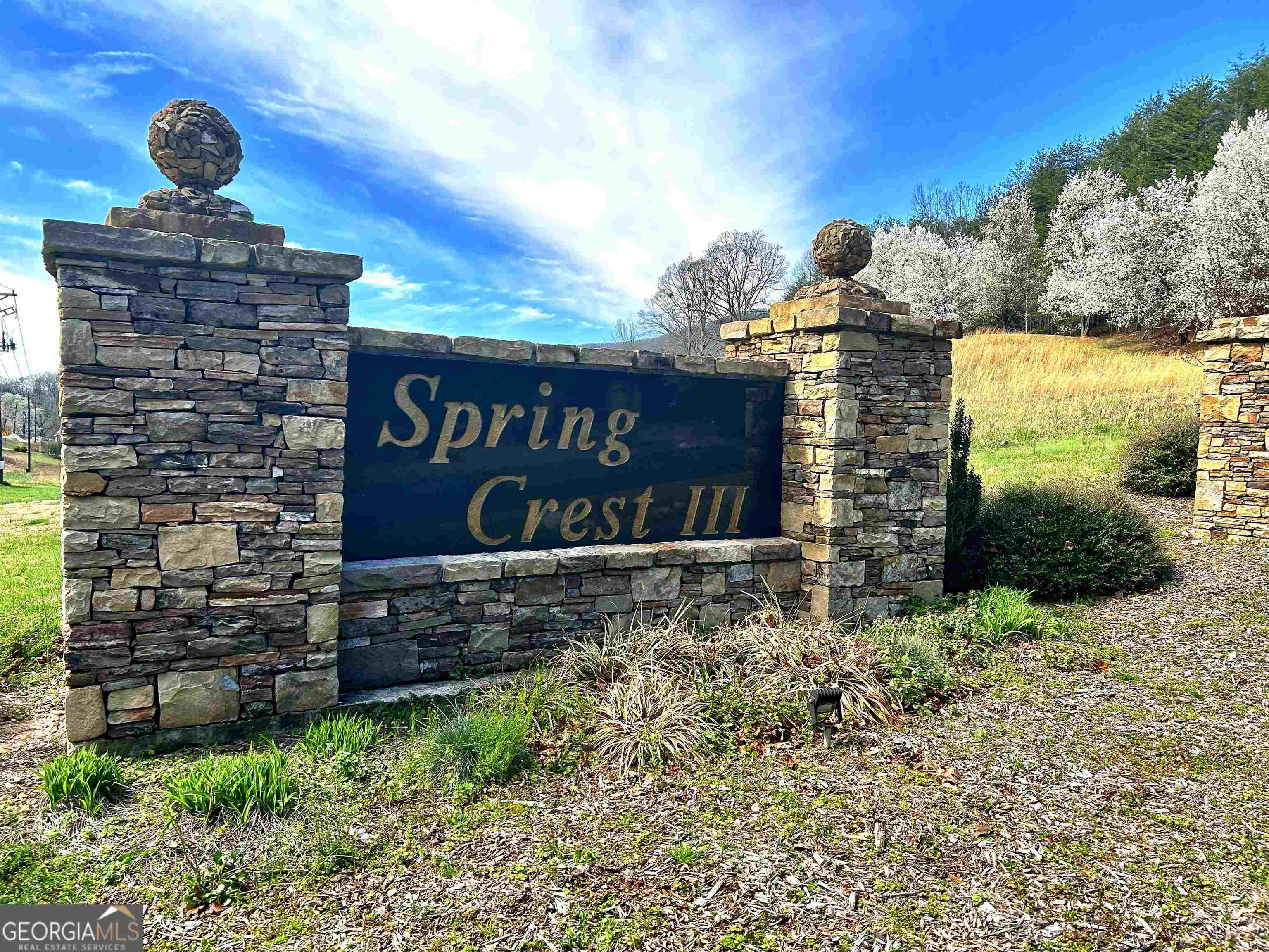 LOT 77 NW Chestatee Property Photo 1