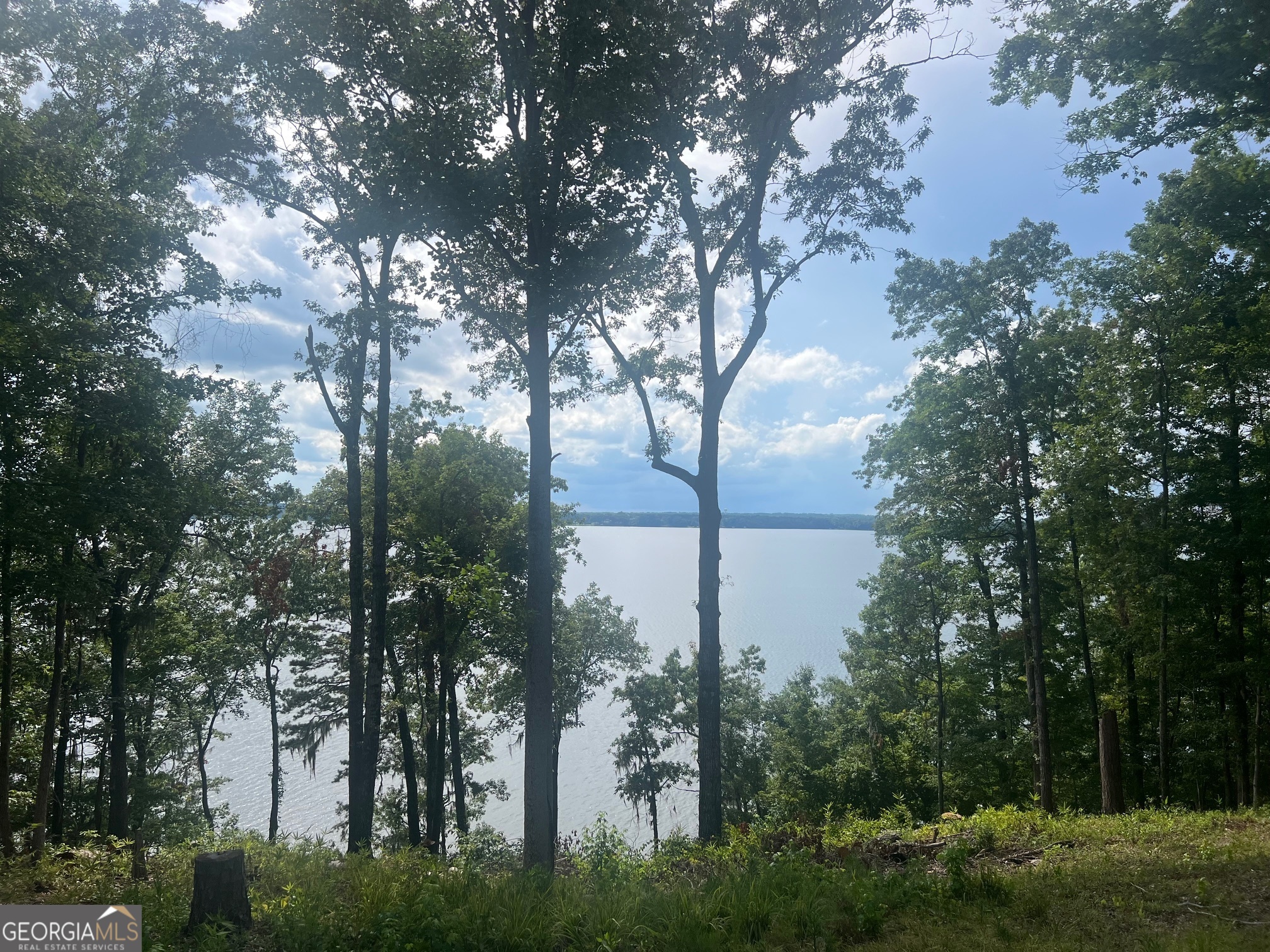 23 Deer Trail Property Photo 1