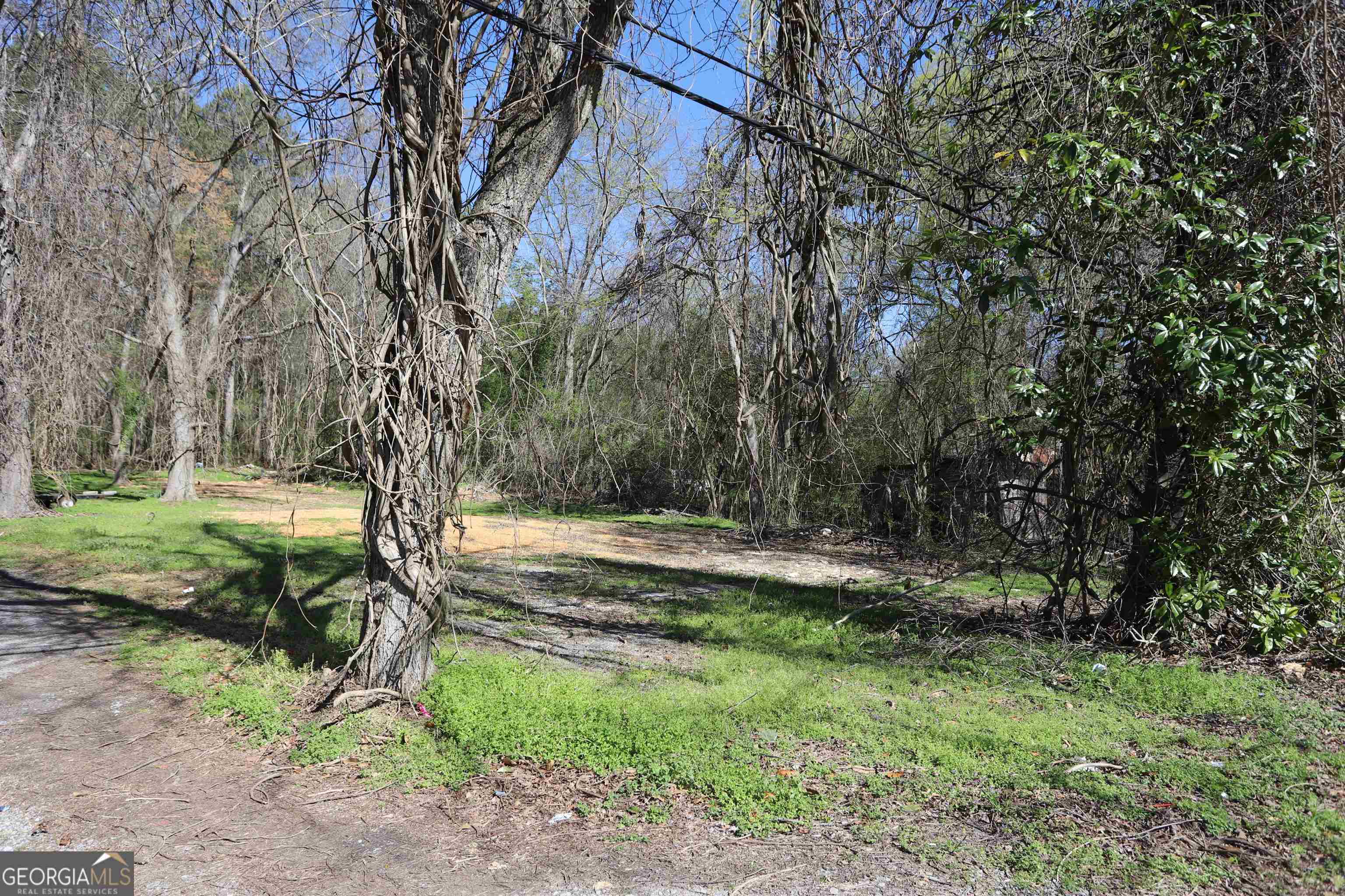 1330 Highway 114 Property Photo 4