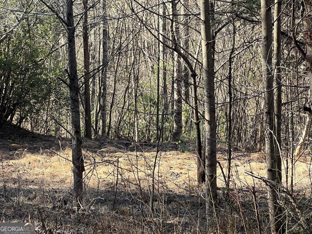 Lot 59c Mountain Harbour Property Photo 1