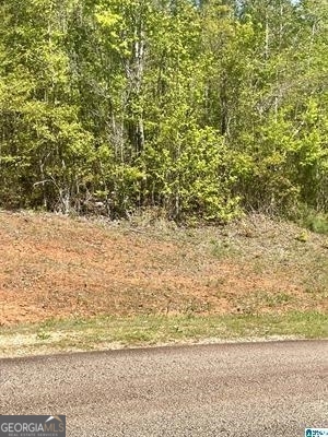 Lot 19 13th Court Property Photo