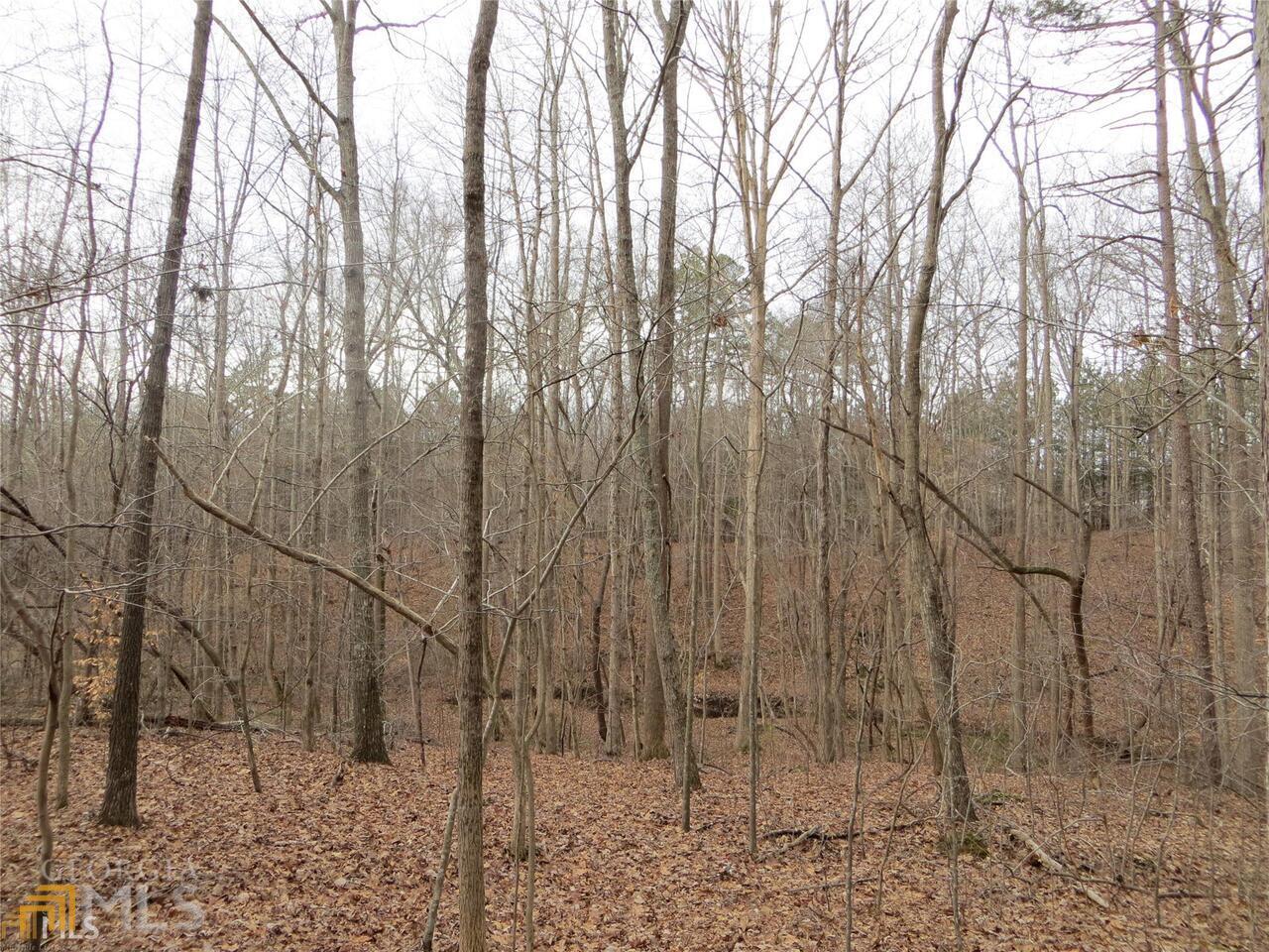 6151 Spout Springs Property Photo 9