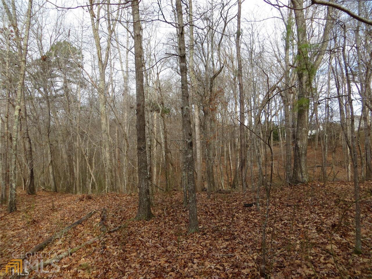 6151 Spout Springs Property Photo 22