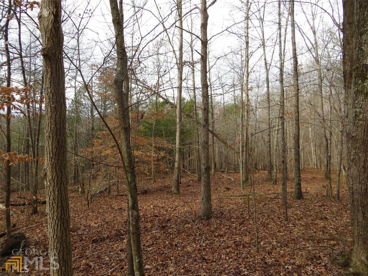 6151 Spout Springs Property Photo 23