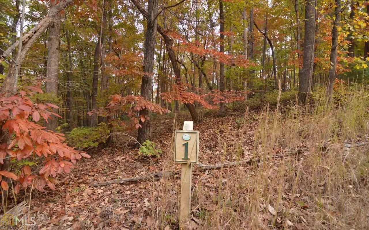 Lot 1 Serenity Ridge Property Photo 1