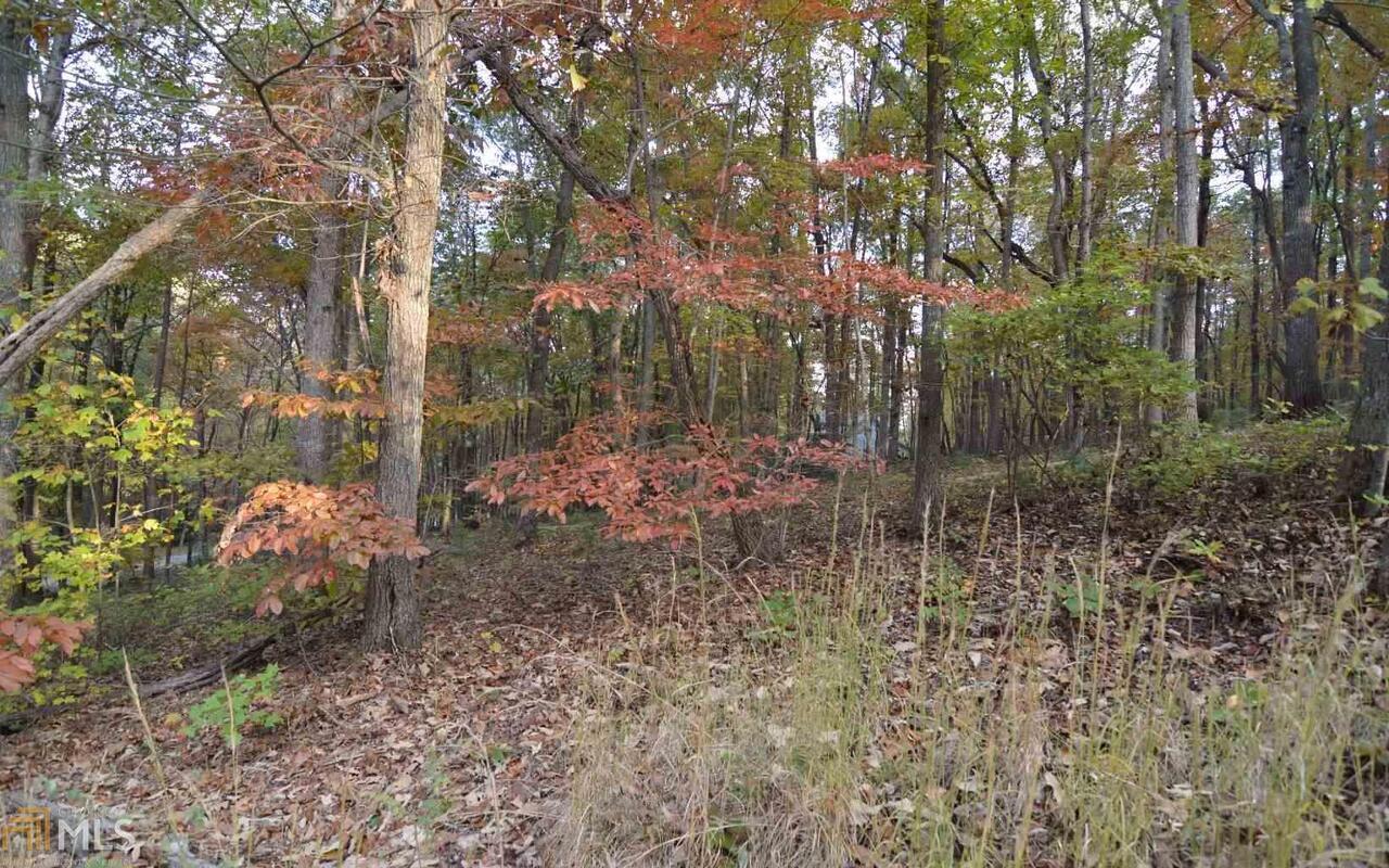 Lot 1 Serenity Ridge Property Photo 5