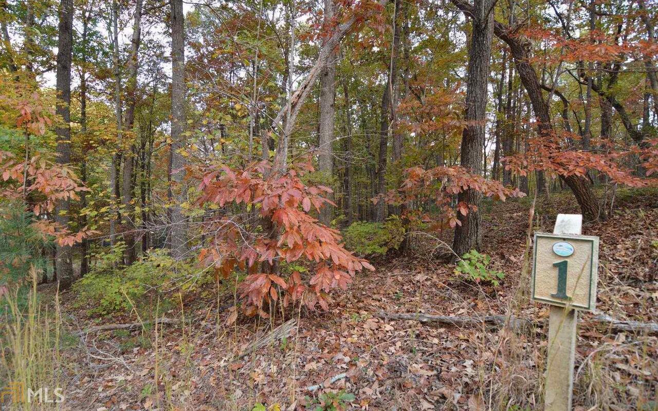 Lot 1 Serenity Ridge Property Photo 10