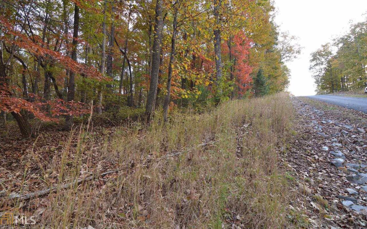 Lot 1 Serenity Ridge Property Photo 11