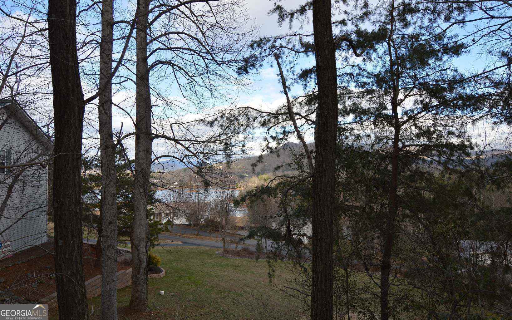 Lot 4 Brer Fox Ridge Property Photo 1