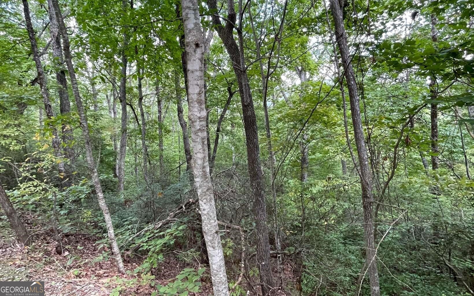 LOT 20 Enchanted Ridge Ridge