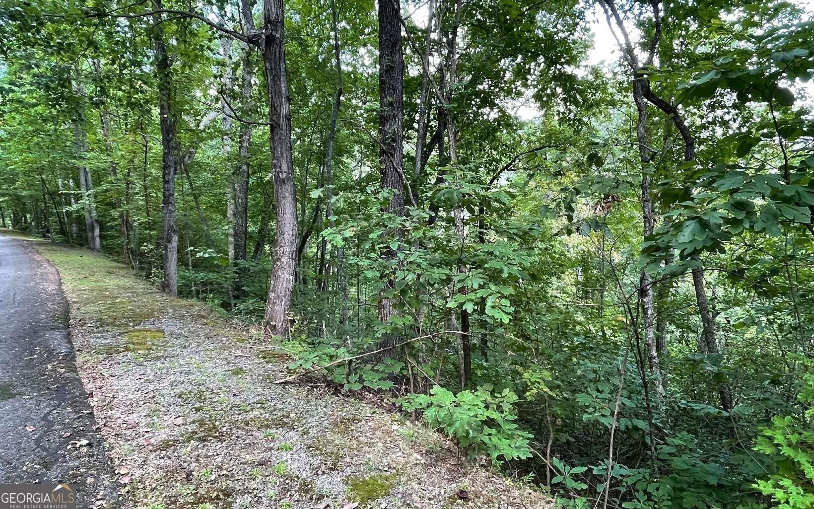 Lot 20 Enchanted Ridge Ridge Property Photo 3