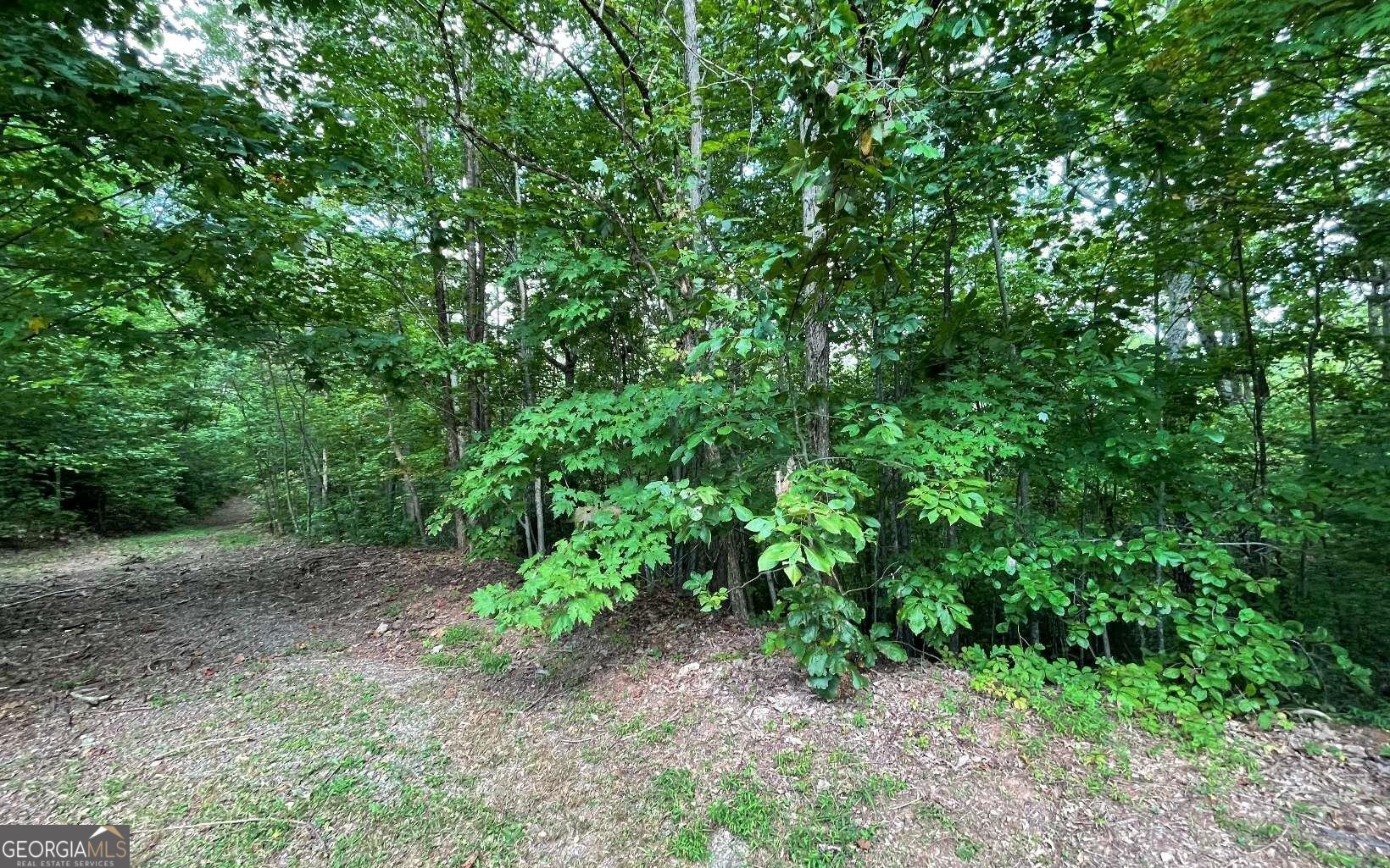 Lot 20 Enchanted Ridge Ridge Property Photo 4