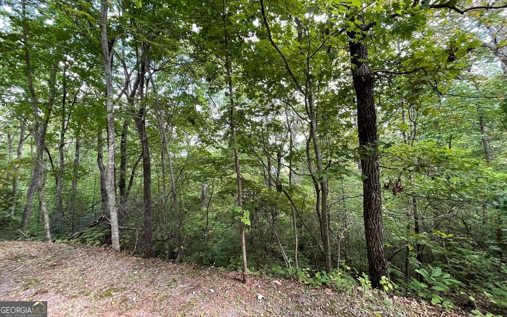 Lot 20 Enchanted Ridge Ridge Property Photo 5