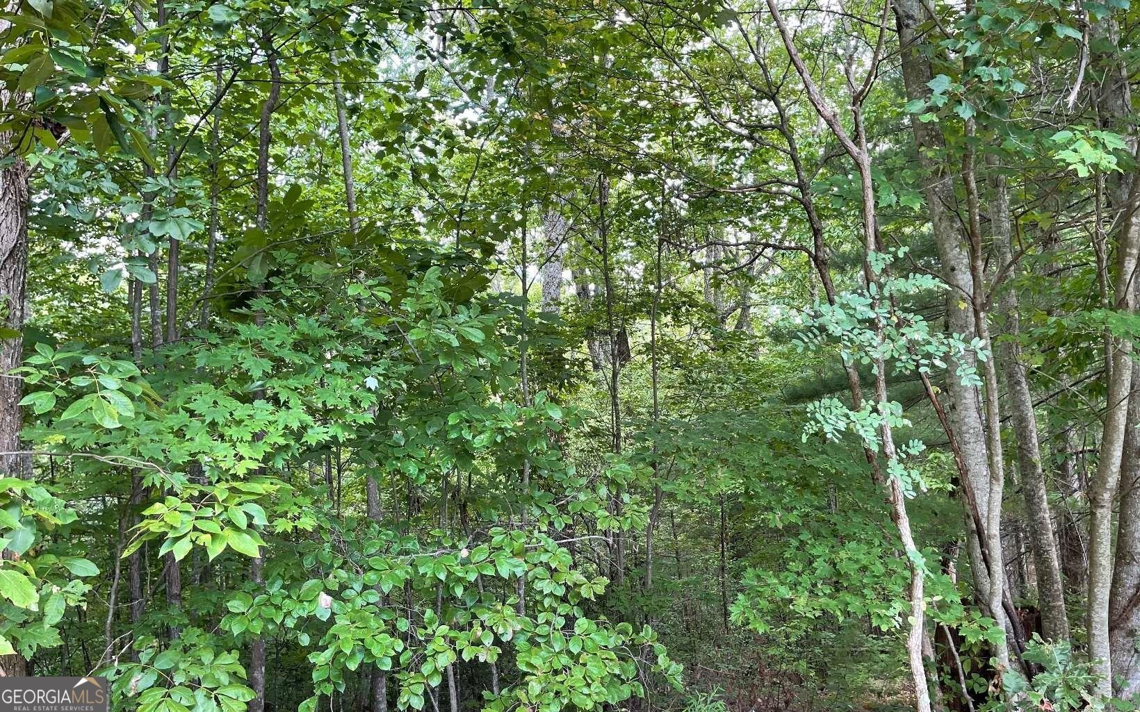 Lot 20 Enchanted Ridge Ridge Property Photo 6