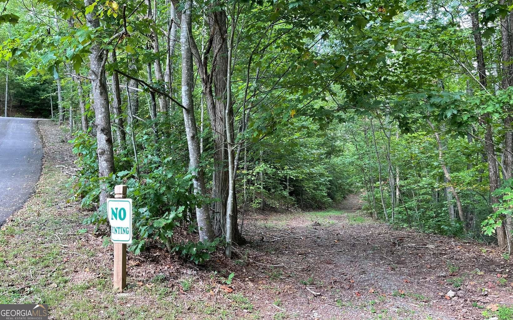Lot 20 Enchanted Ridge Ridge Property Photo 7