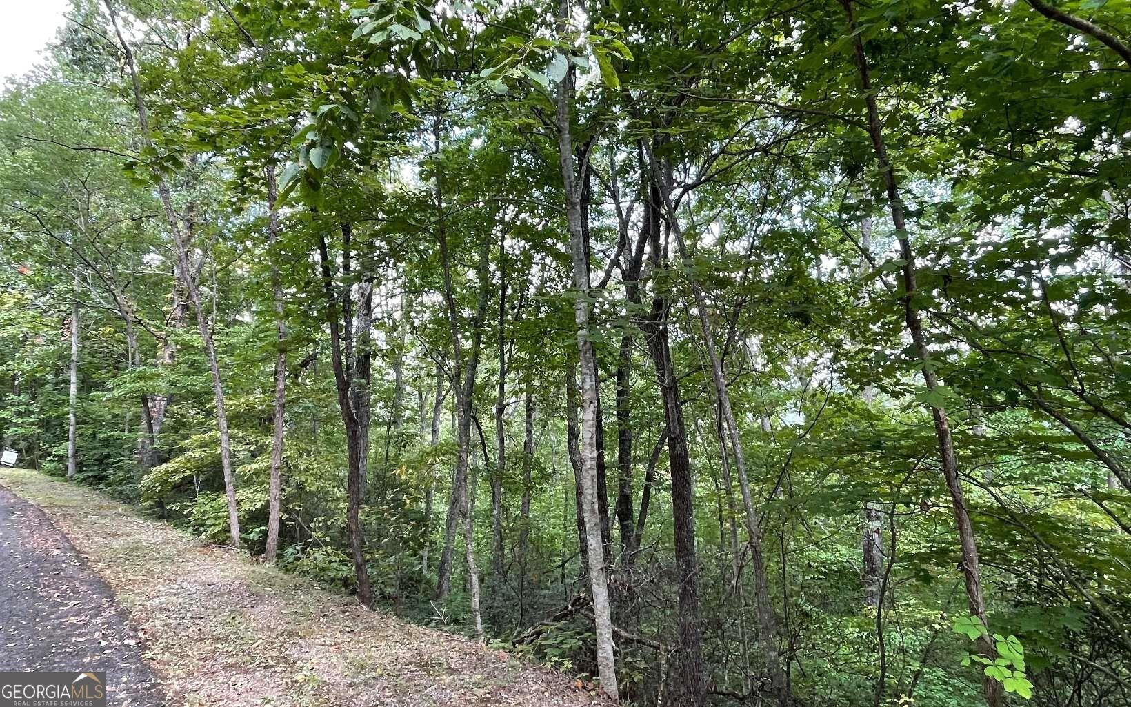 Lot 20 Enchanted Ridge Ridge Property Photo 8