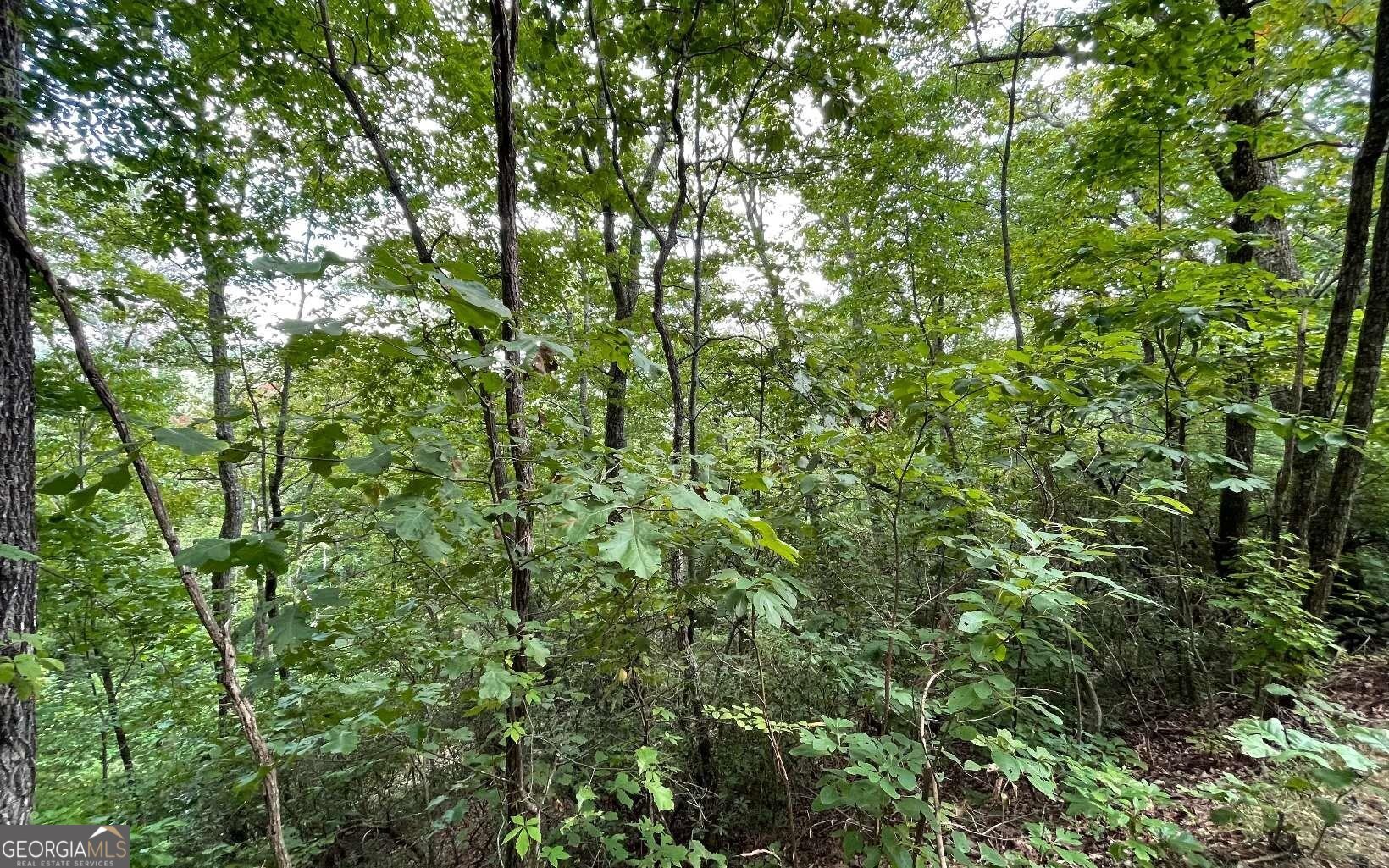 Lot 20 Enchanted Ridge Ridge Property Photo 9