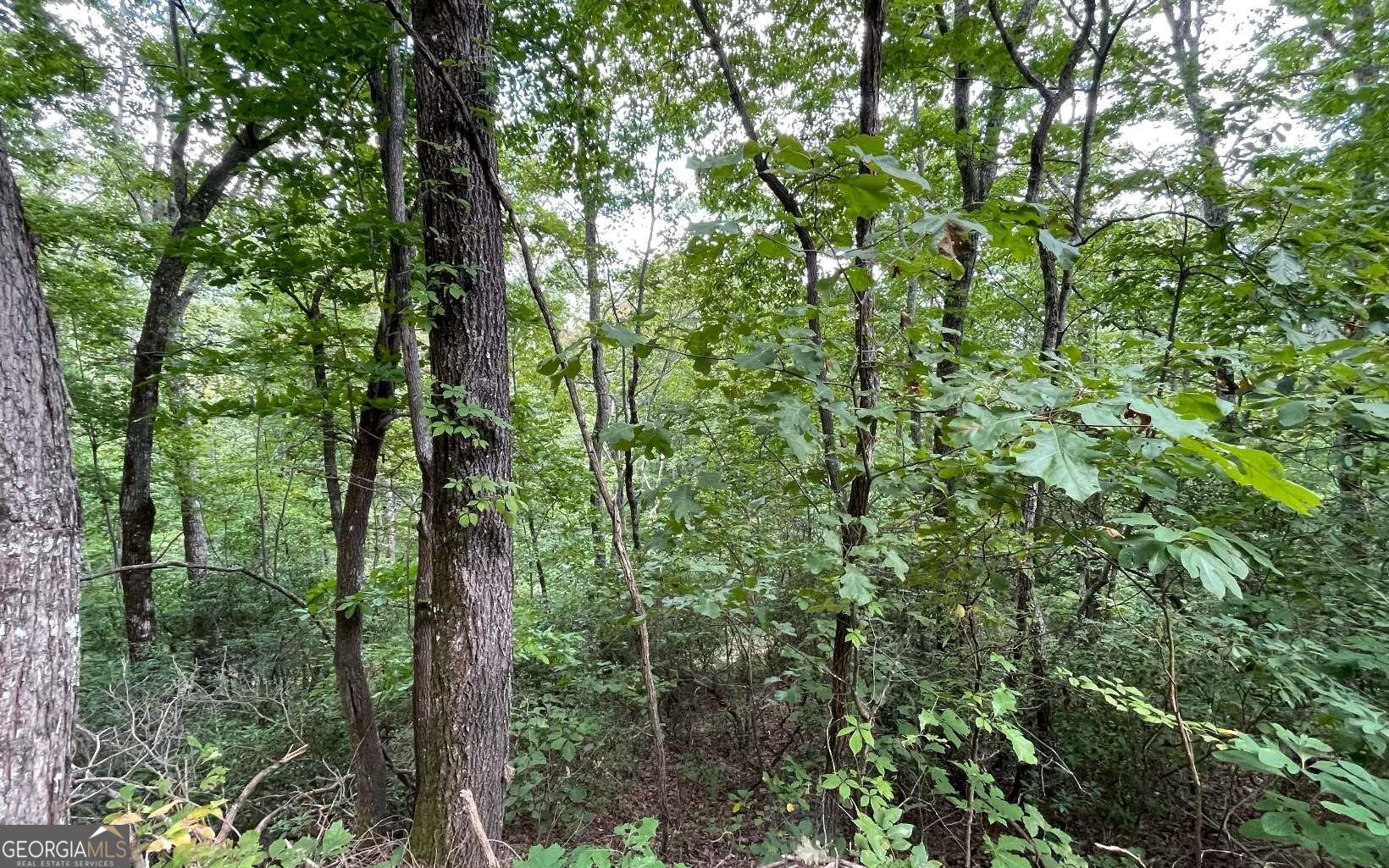 Lot 20 Enchanted Ridge Ridge Property Photo 10