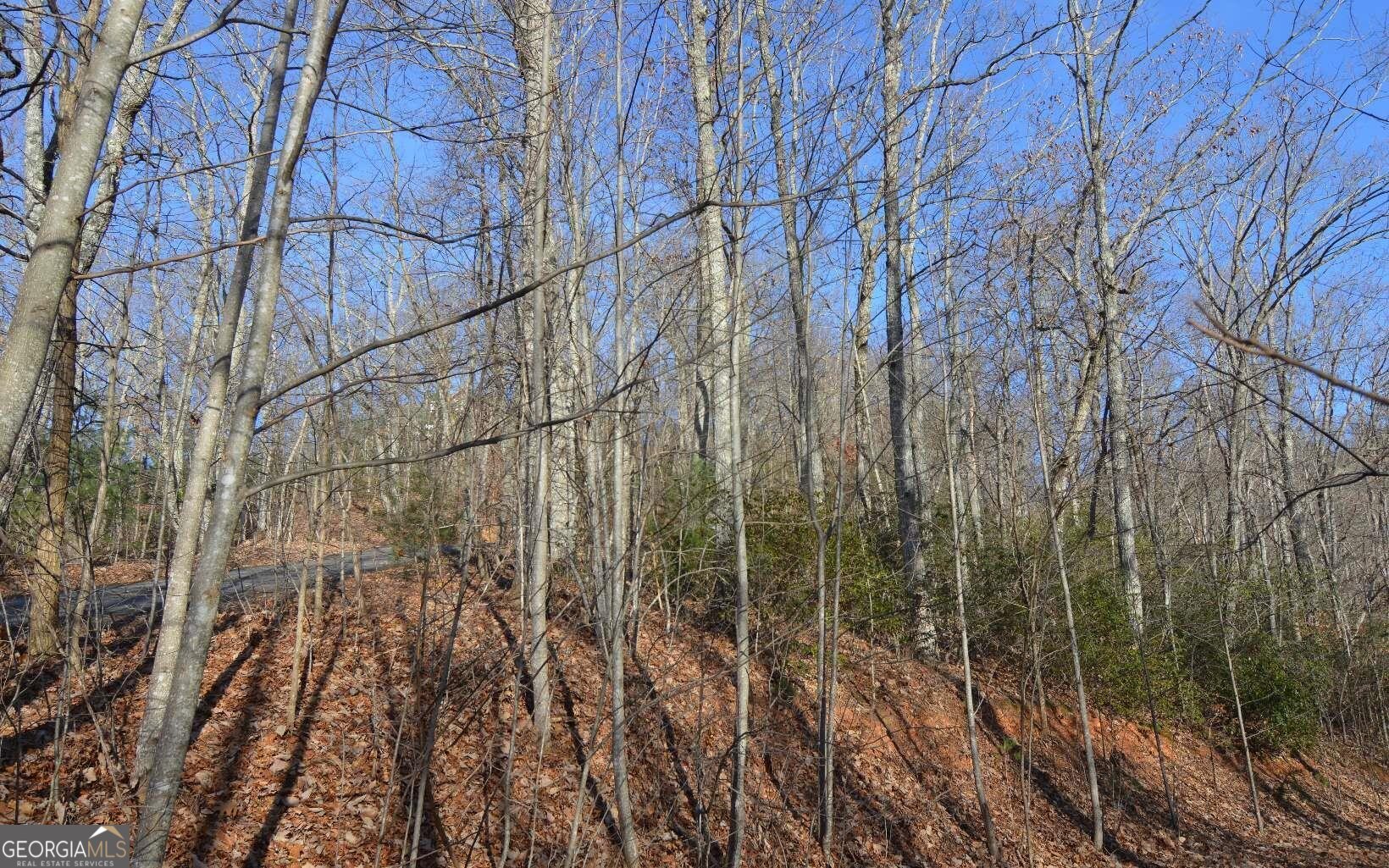 Lot 20 Enchanted Ridge Ridge Property Photo 12