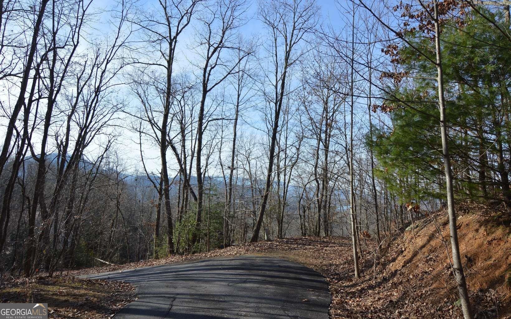Lot 20 Enchanted Ridge Ridge Property Photo 13