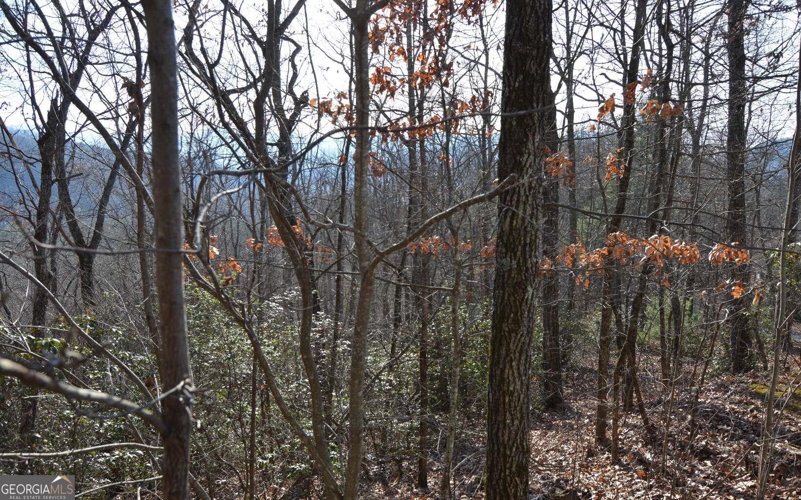 Lot 20 Enchanted Ridge Ridge Property Photo 14