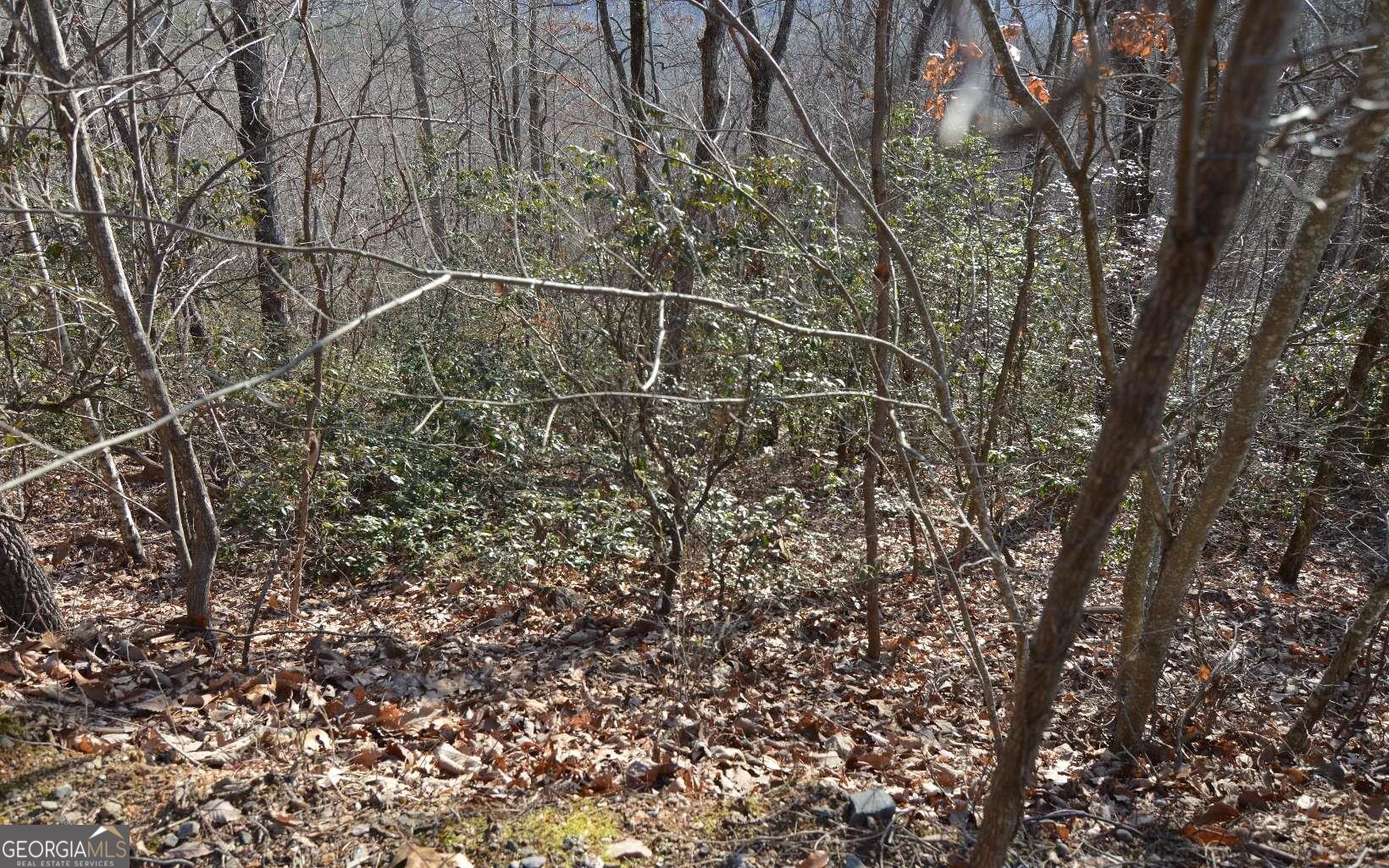 Lot 20 Enchanted Ridge Ridge Property Photo 15