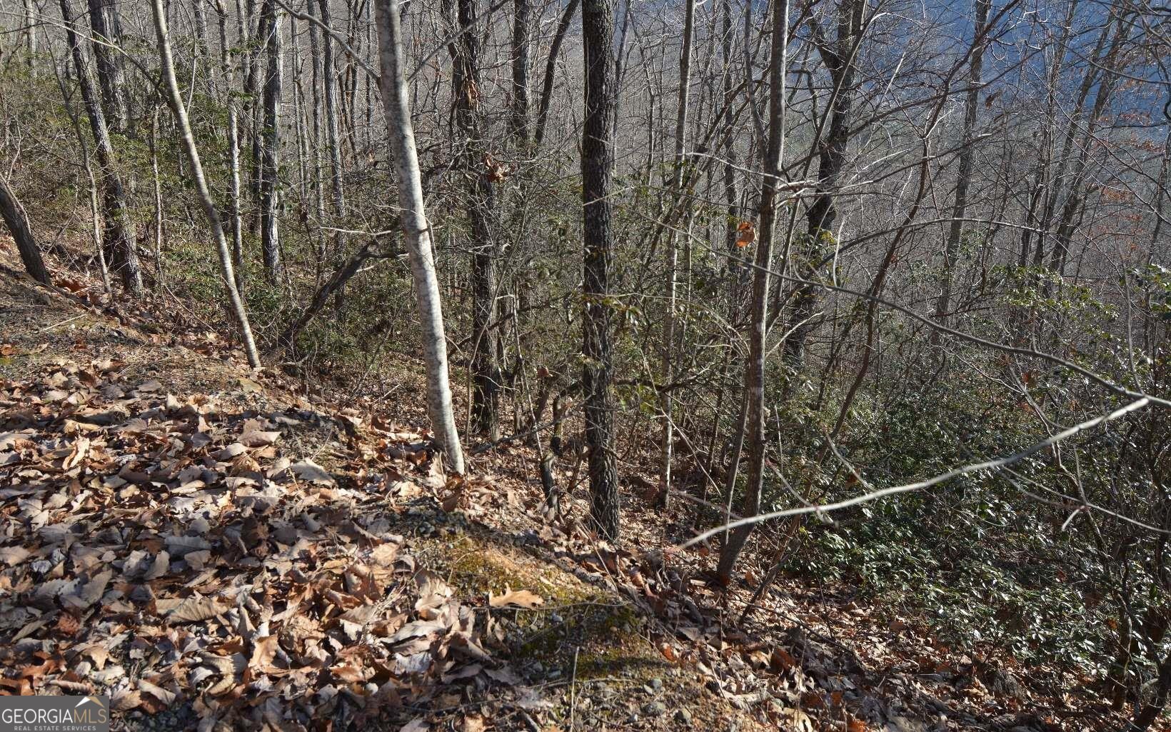 Lot 20 Enchanted Ridge Ridge Property Photo 16