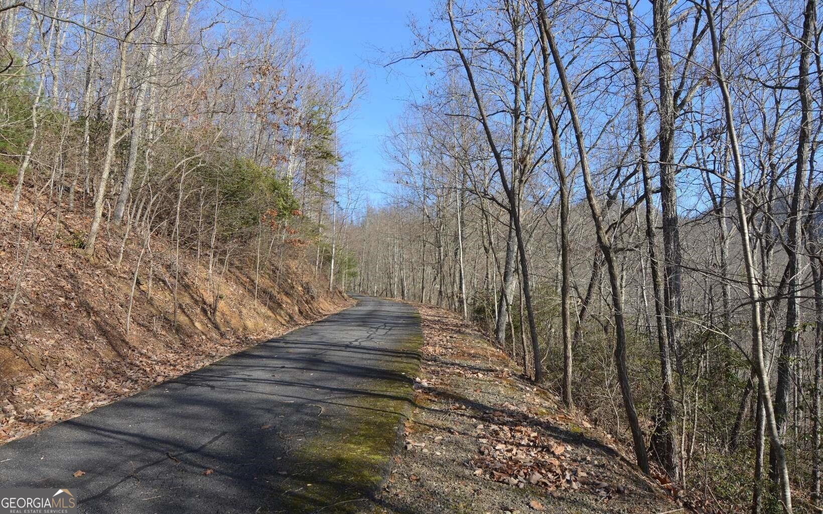 Lot 20 Enchanted Ridge Ridge Property Photo 17