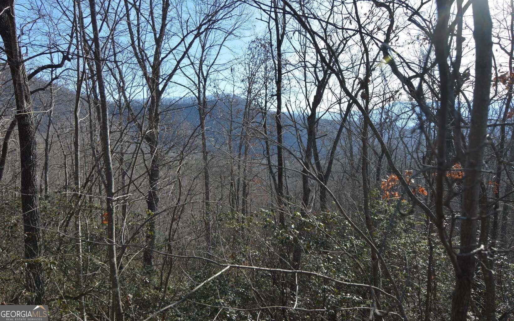 Lot 20 Enchanted Ridge Ridge Property Photo 18