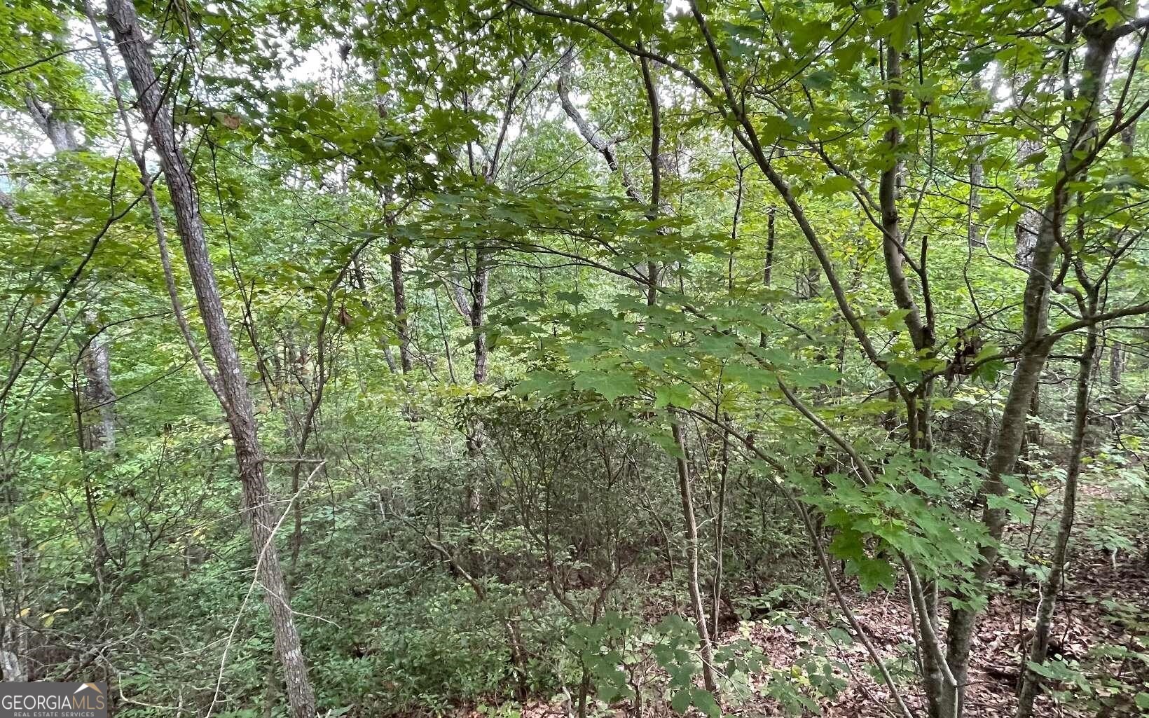Lot 20 Enchanted Ridge Ridge Property Photo 19