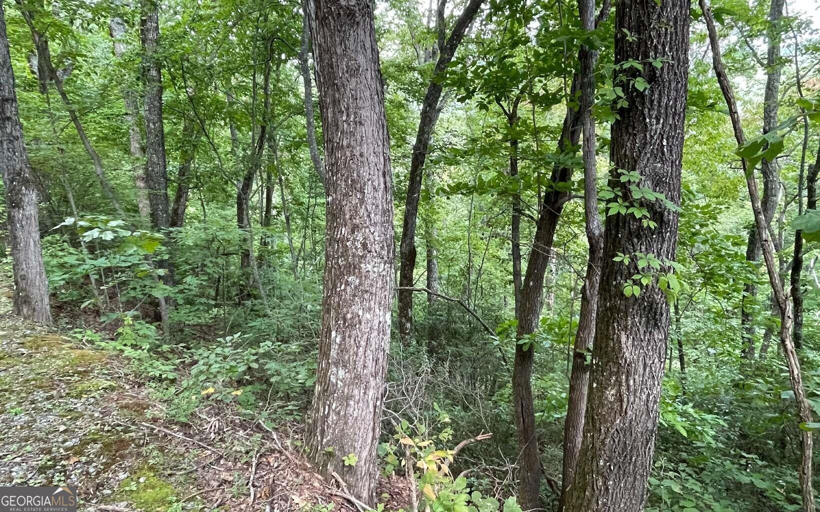 Lot 20 Enchanted Ridge Ridge Property Photo 20