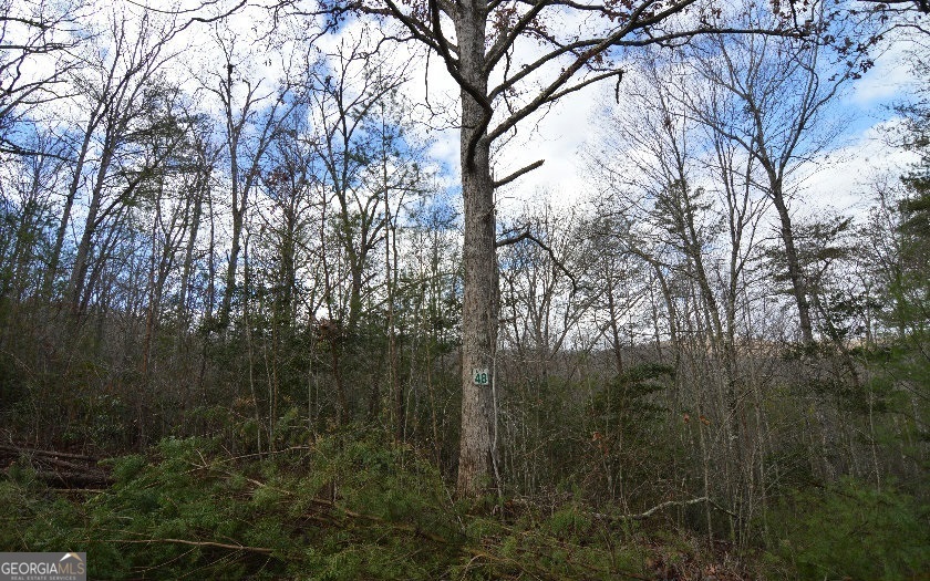 Lot 48 Laurel Brooke Property Photo 1