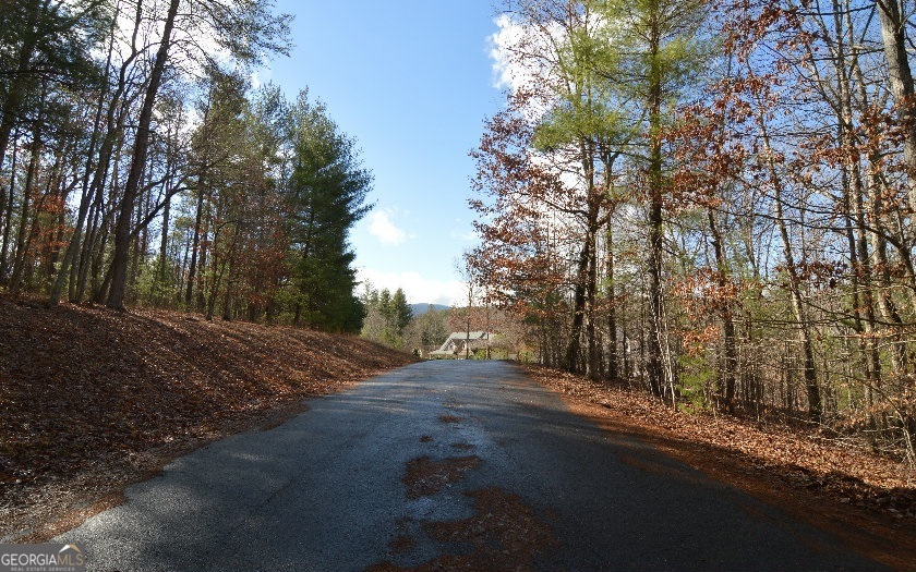 Lot 26 Coosa Bend Property Photo 1