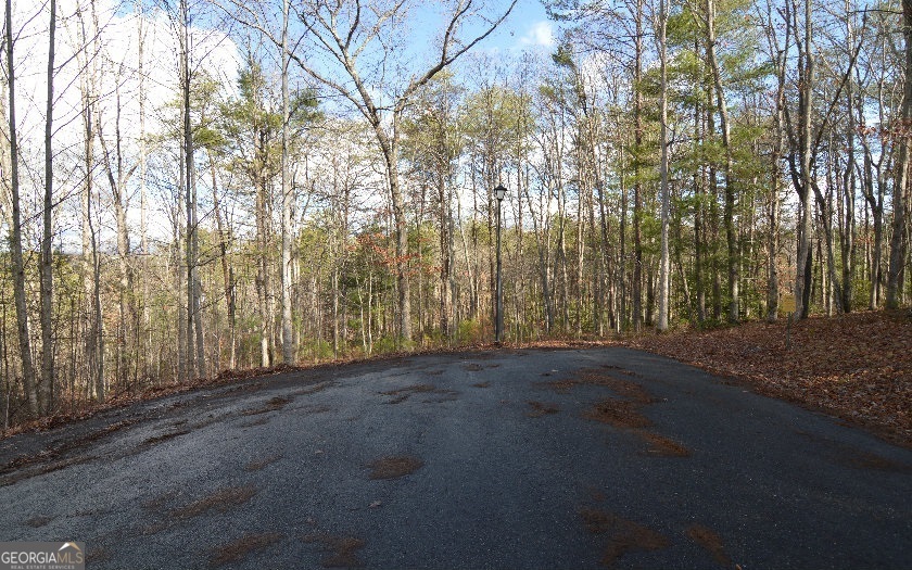 Lot 26 Coosa Bend Property Photo 3